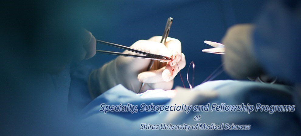 Specialty, Subspecialty and Fellowship Programs