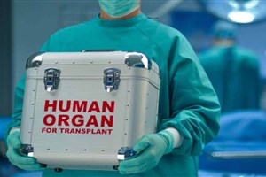 Shiraz University of Medical Sciences (SUMS) Takes Second Place for Organ Donation