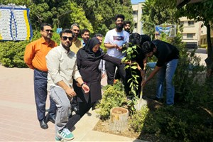 Bridging Culture and Environmental Awareness
