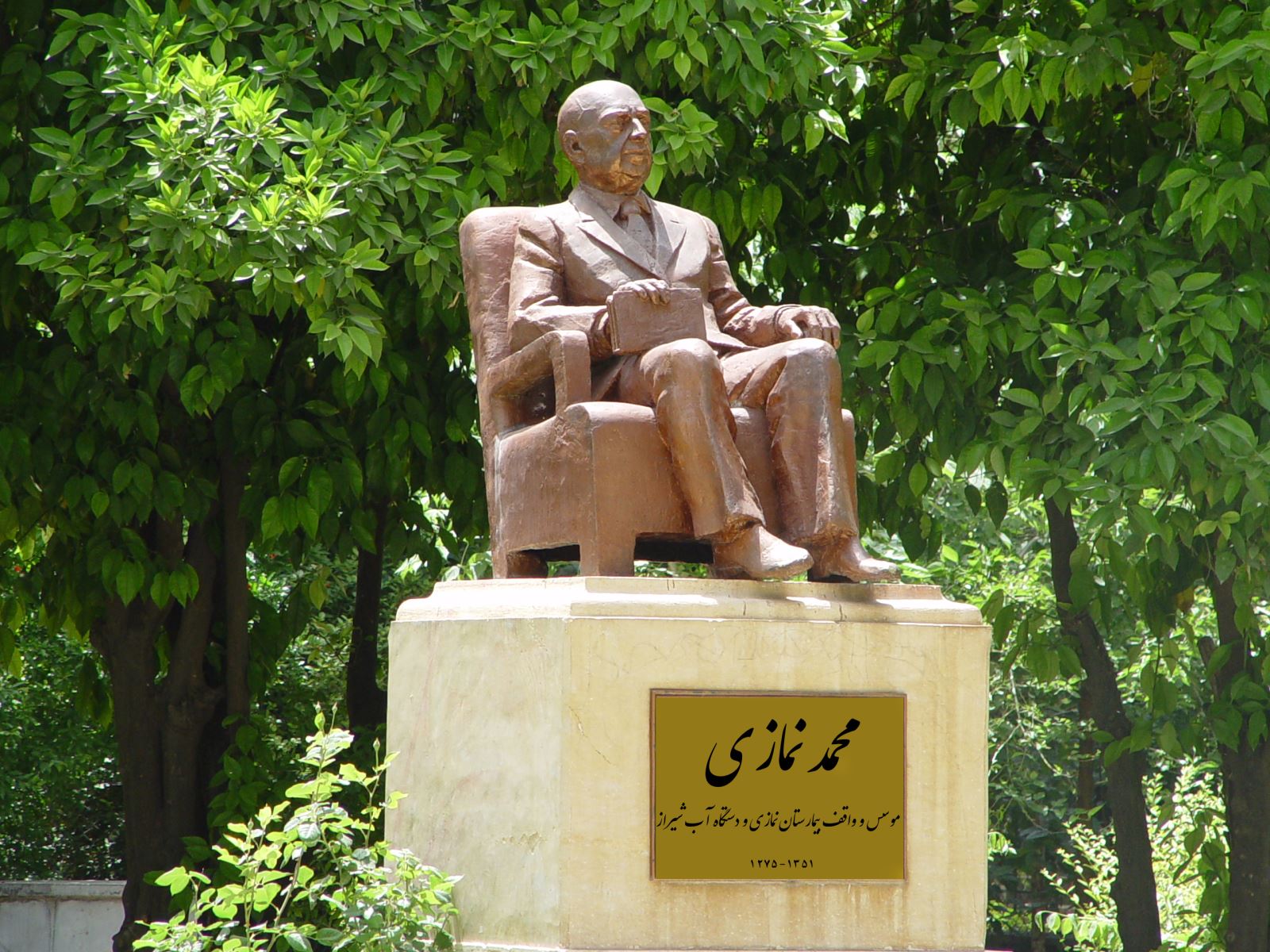 Mohammad Nemazee